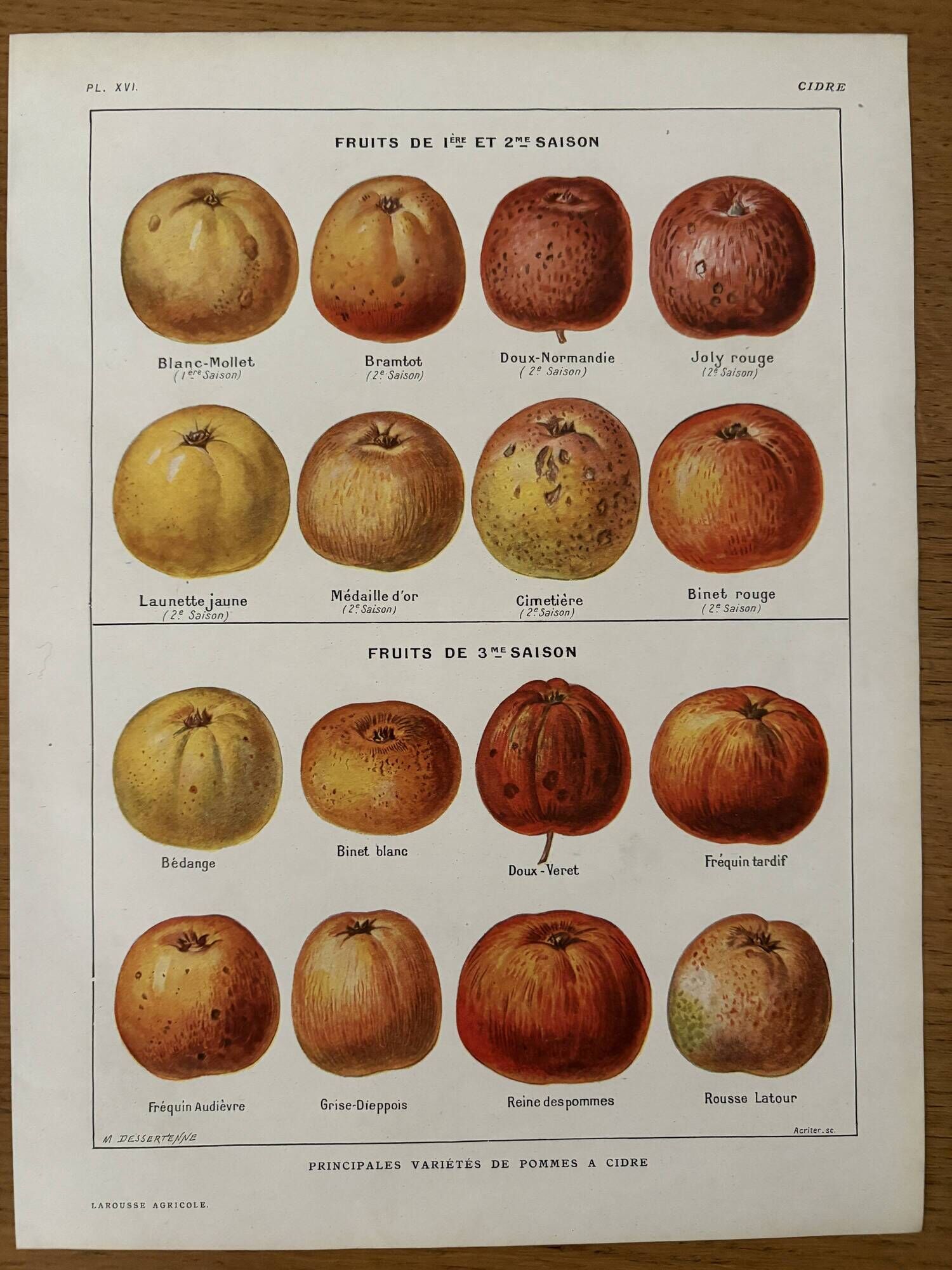 Old illustrated board on cider apples (1920)