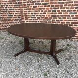 Scandinavian design oval dining table
