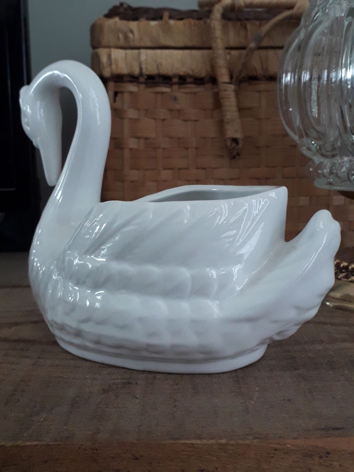 Swan plant pot