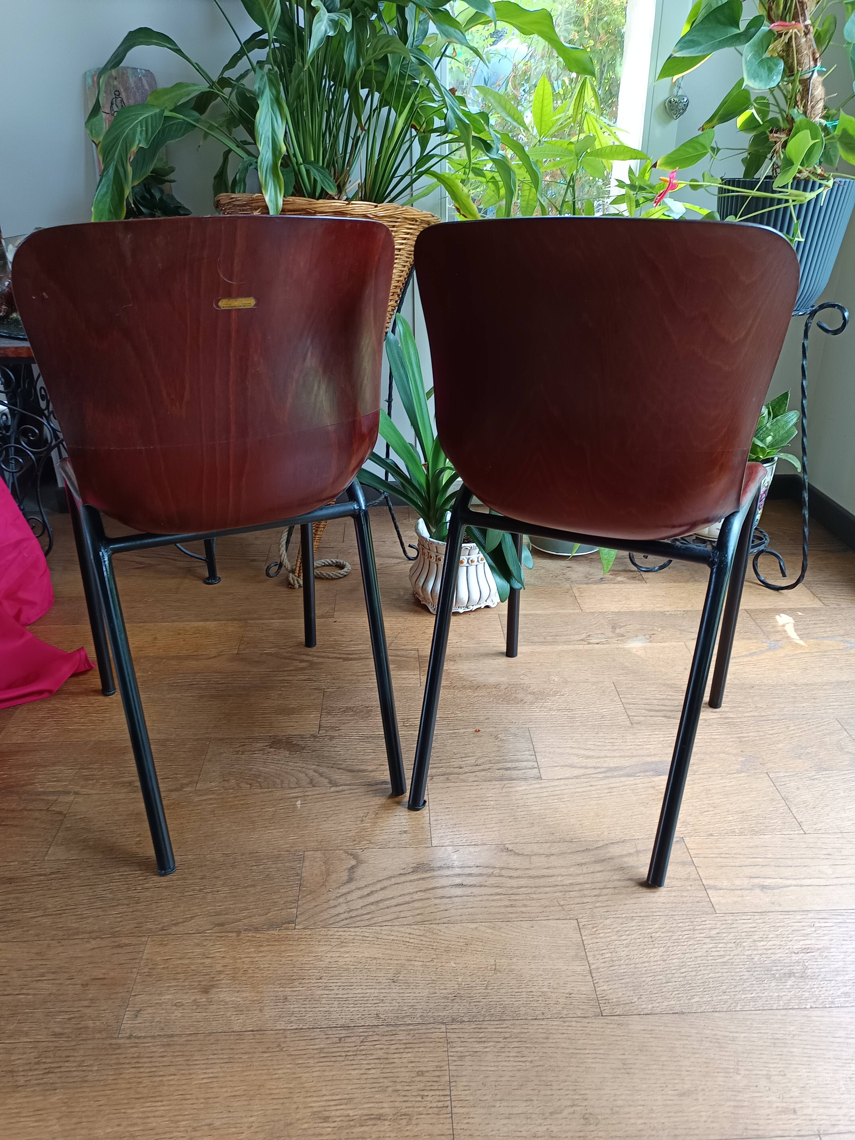 pair of vintage Pagholz chairs 1960s/1970s