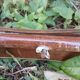 Tabouret égyptien forme selle de chameau