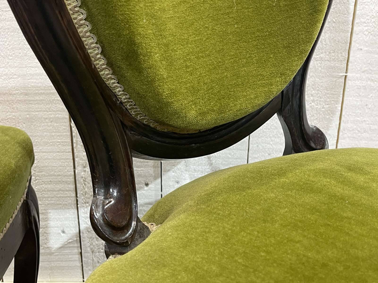Paire de chaises d'époque Napoléon III en palissandre - 19ème