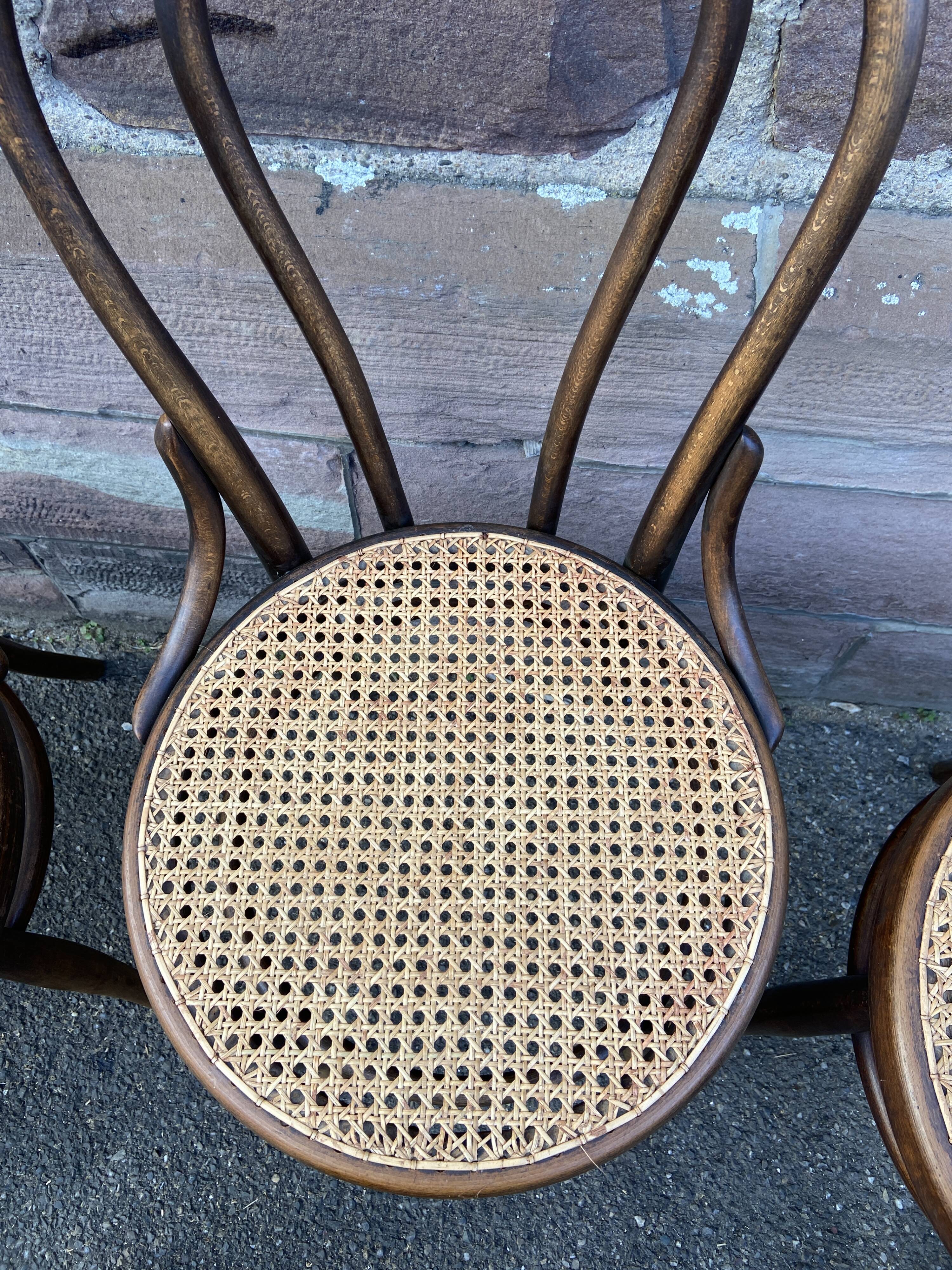 Suite of 4 chairs bistrot Fischel Nr 18 bentwood