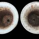 Series of 4 old cast iron vases