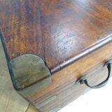 Old marine trunk in camphor tree