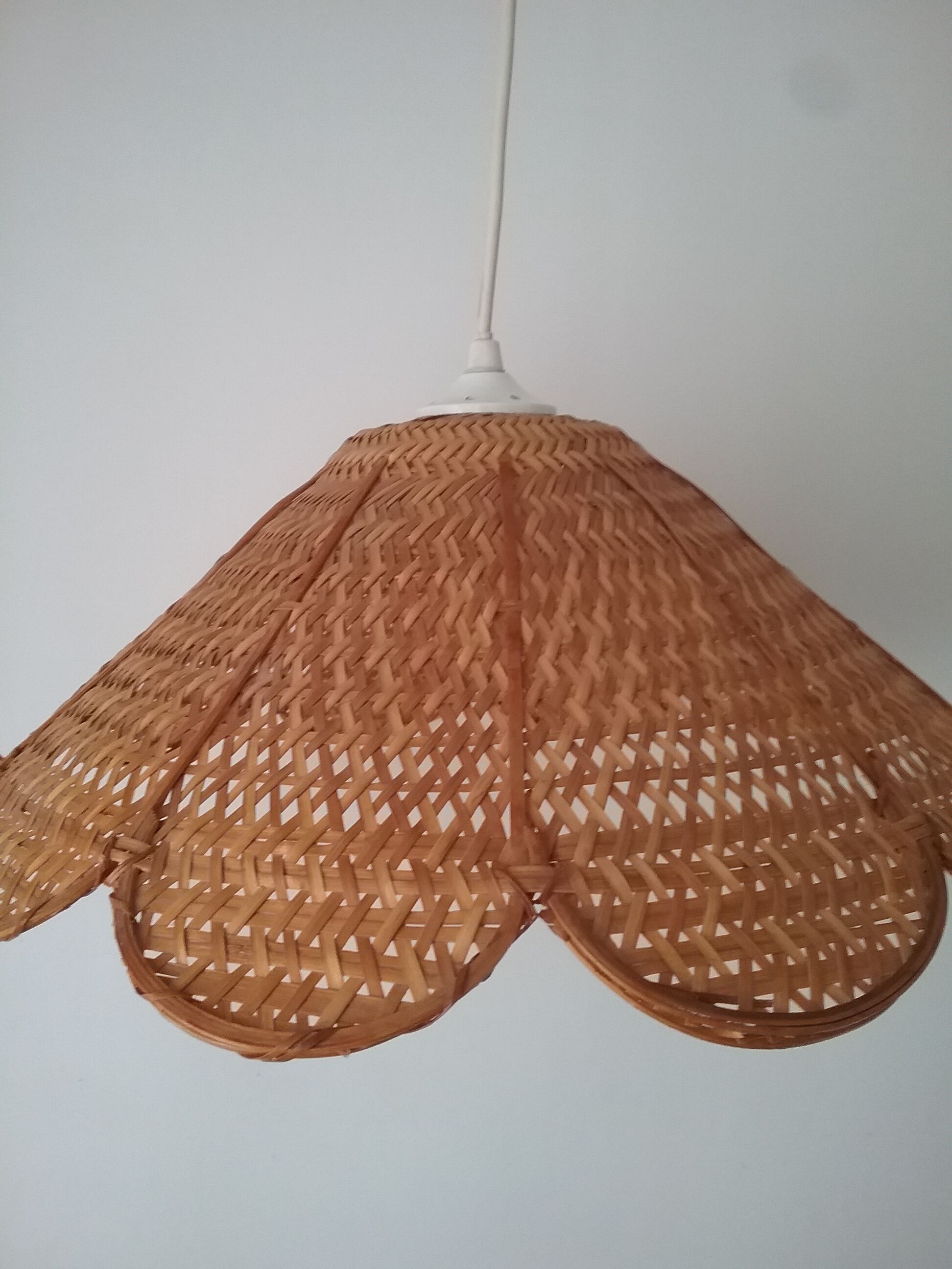 Rattan suspension