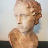 Children's bust in terracotta