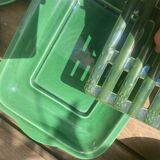 Asparagus tableware set