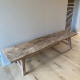 Old bench in elm