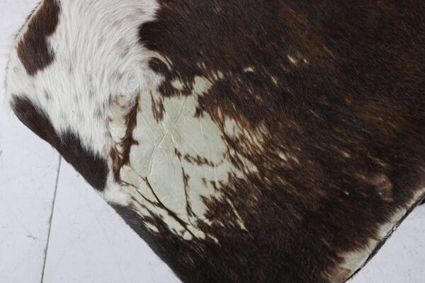 Chaise icône du design, la chaise longue LC de Le Corbusier