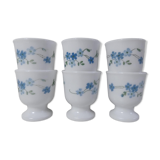 6 arcopal cockroaches myosotis