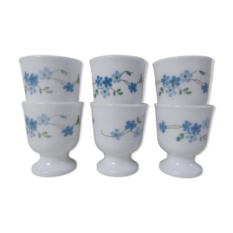 6 arcopal cockroaches myosotis