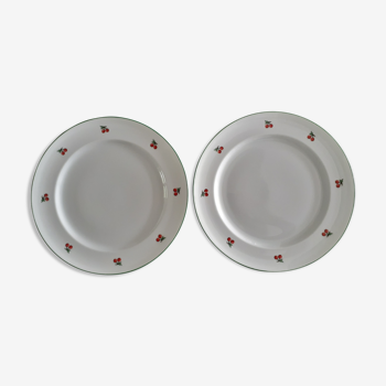 2 cherry patterned plates
