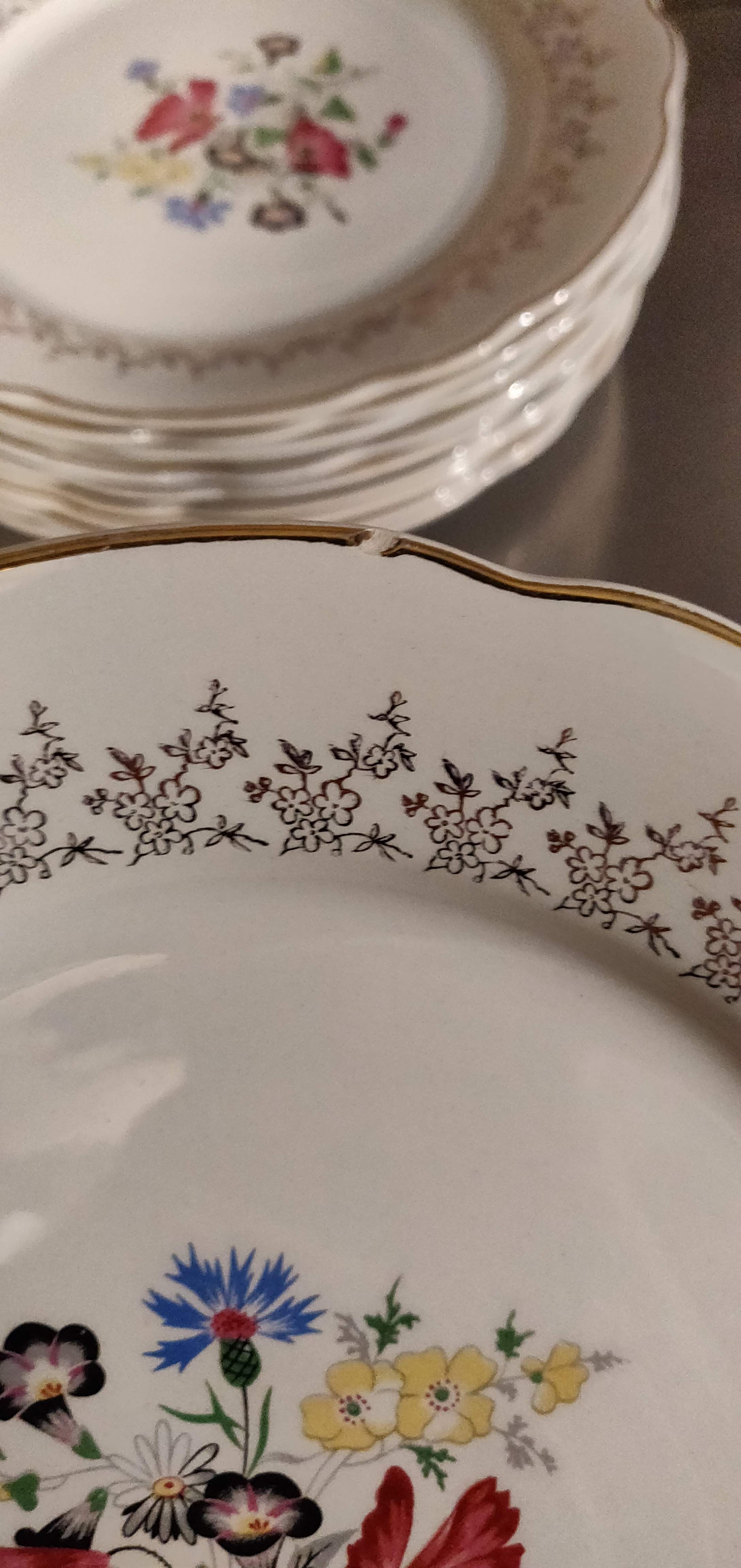 12 assiettes plates Digoin et Sarguemines Pampelune