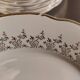 12 assiettes plates Digoin et Sarguemines Pampelune