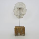Face sculpture in polychrome earth and plaster, cabinet of curiosities. Ph Monaux. Ariège artist