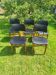 Set of 5 Scandinavian chairs