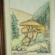 Pair of colorized mycological lithographs - Coprinus comatus, Psalliotta arvensis - 70s