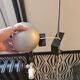 Two-light floor lamp with removable magnetic Eyes Ball.