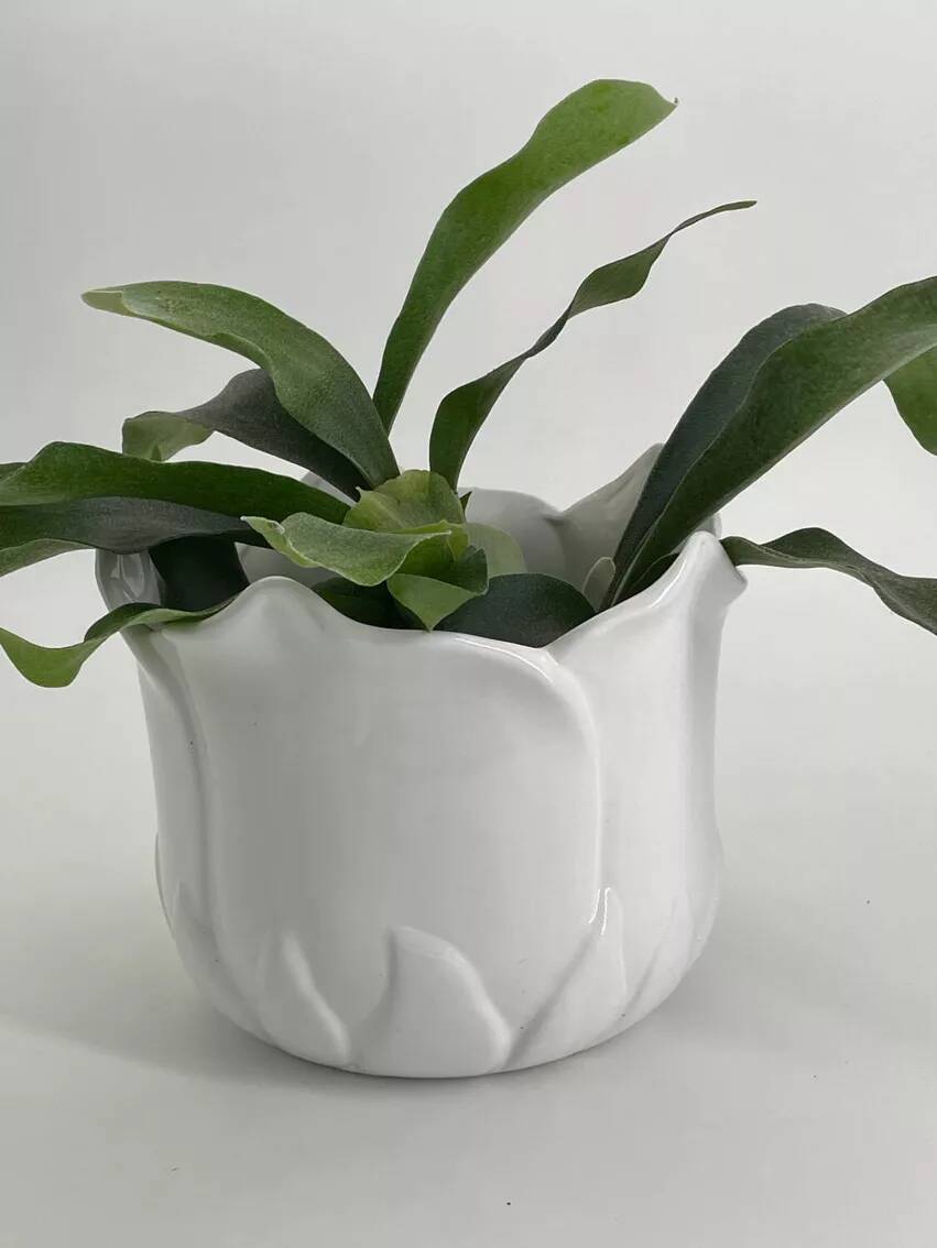 Cache-pot vintage en forme de tulipe en porcelaine blanche