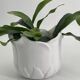 Cache-pot vintage en forme de tulipe en porcelaine blanche