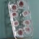 Walther-Glas flower fancies cake dish