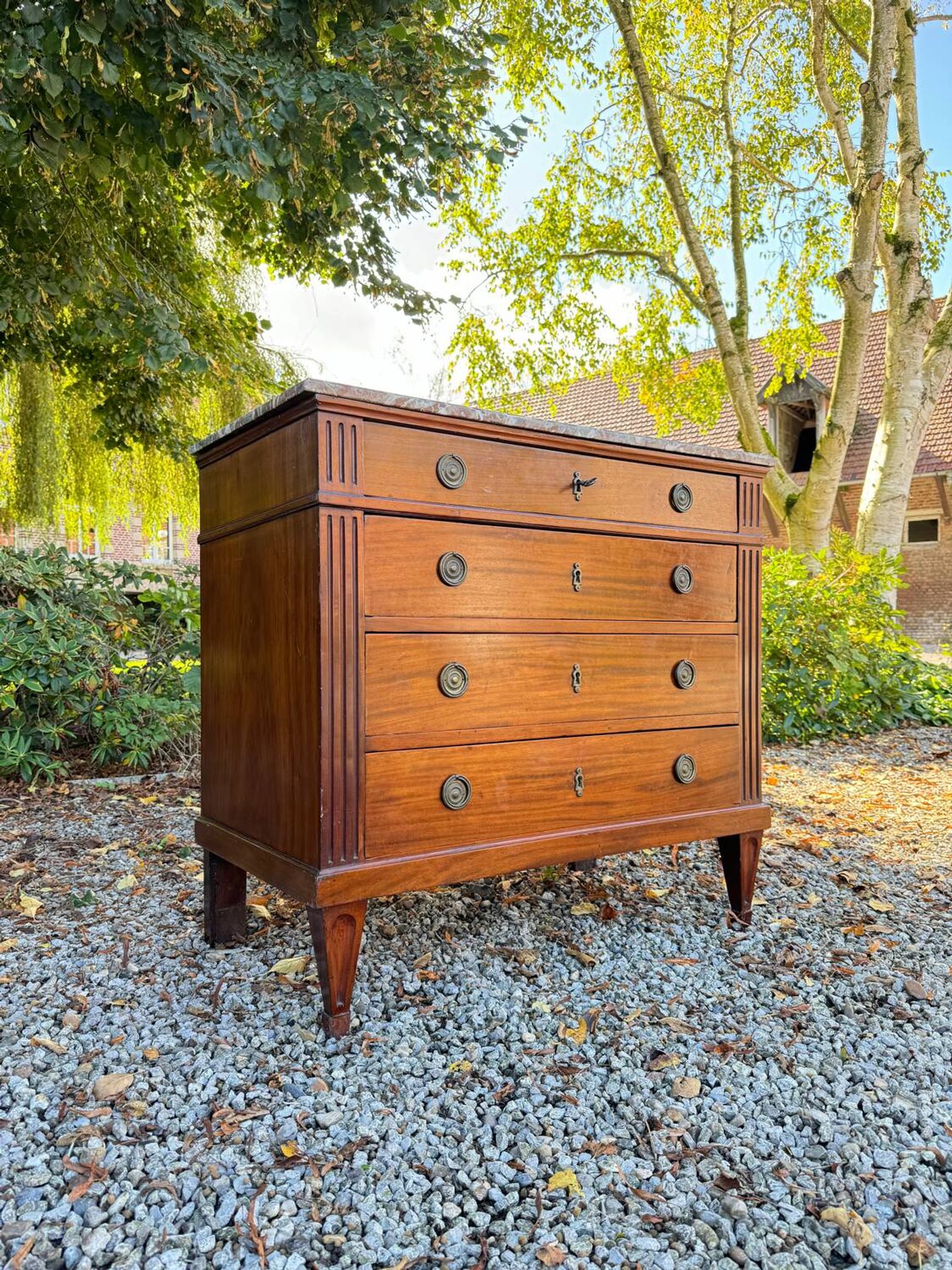Louis XVI Style Mahogany Chest of Drawers, 19th Century