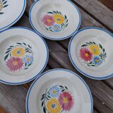 Flat lot and 6 rustic hand-painted hollow plates Digoin Sarreguemines