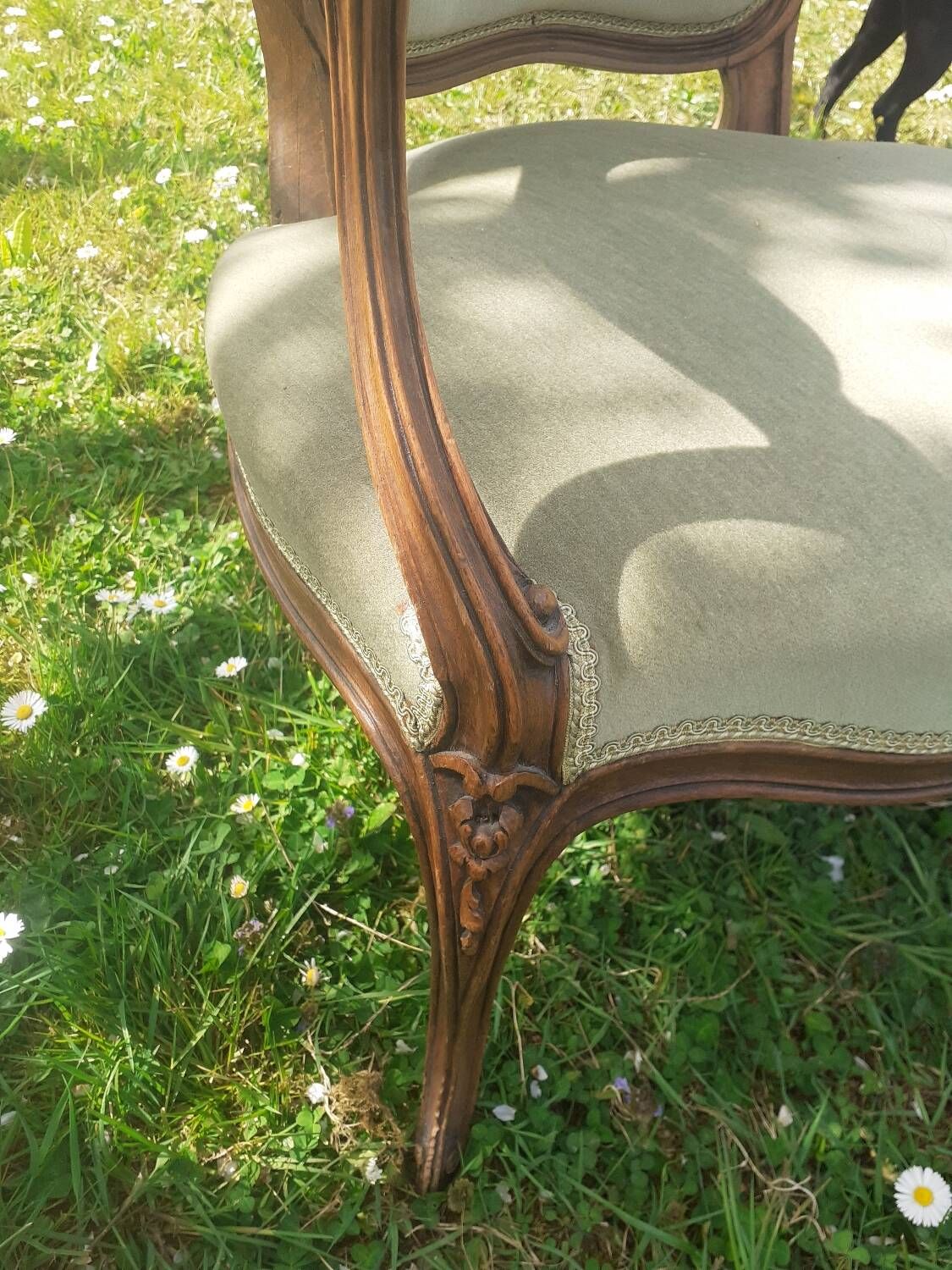 Pair of Rocaille style armchairs in green fabric and walnut, 19th century