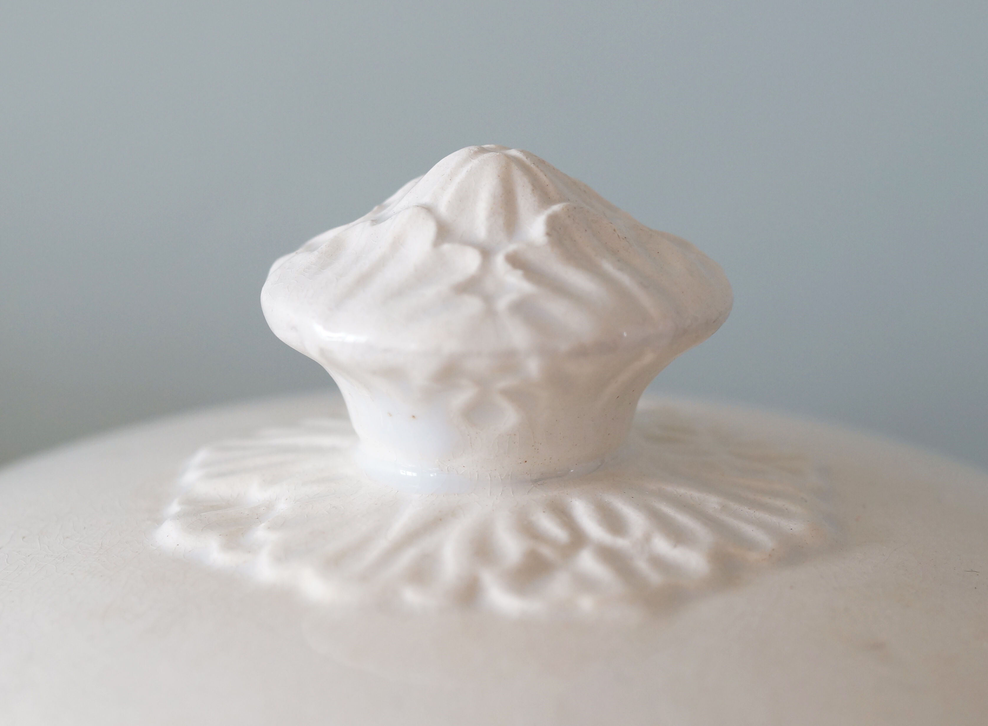 Earthenware tureen tureen