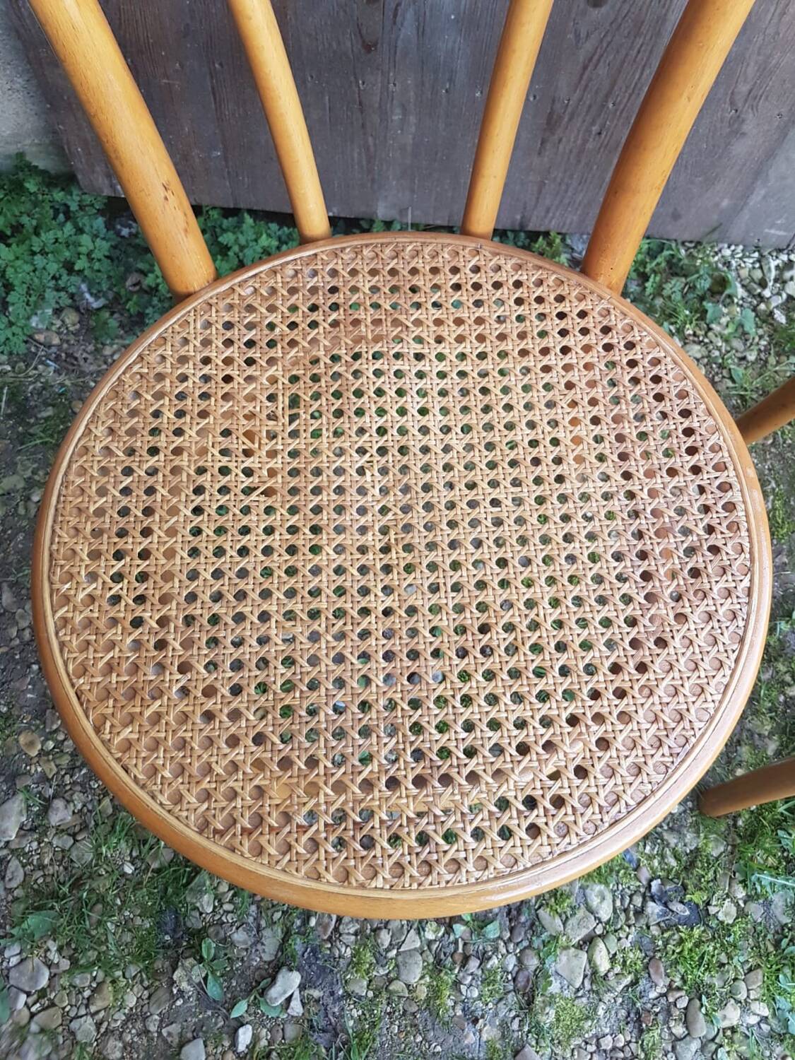 Pair of thonet style bistro chairs light curved wood + cane seat