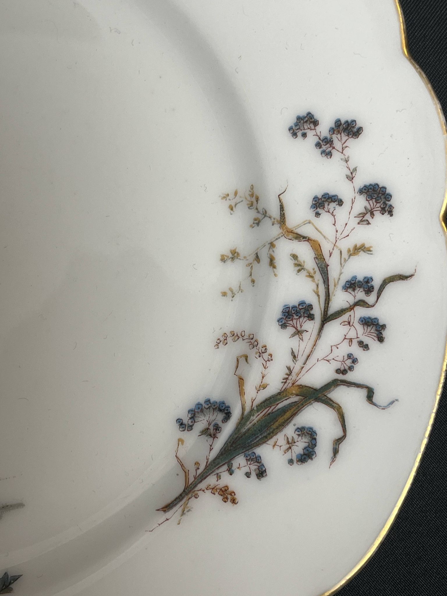 Pair of Hache Jullien plates, fine earthenware, castle decor, early 20th century