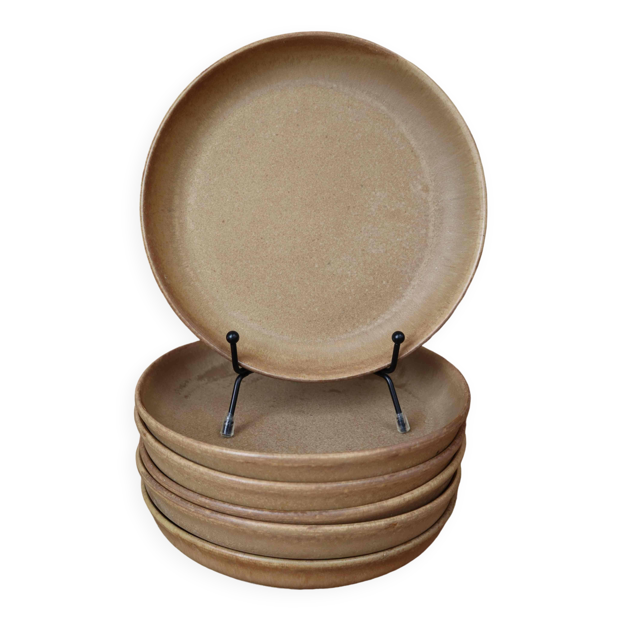 6 stoneware rimmed dinner plates