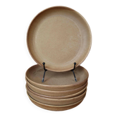 6 stoneware rimmed dinner plates