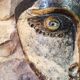 Masque décoratif en raku