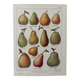 Lithograph of pears - 1920