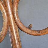 Parrot coat rack