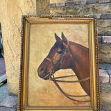 Portrait of a horse