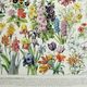 Antique engraving 1928, Flower 1, plant, flowerbed, horticulture • Lithograph, original illustration
