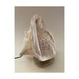 Shell lamp