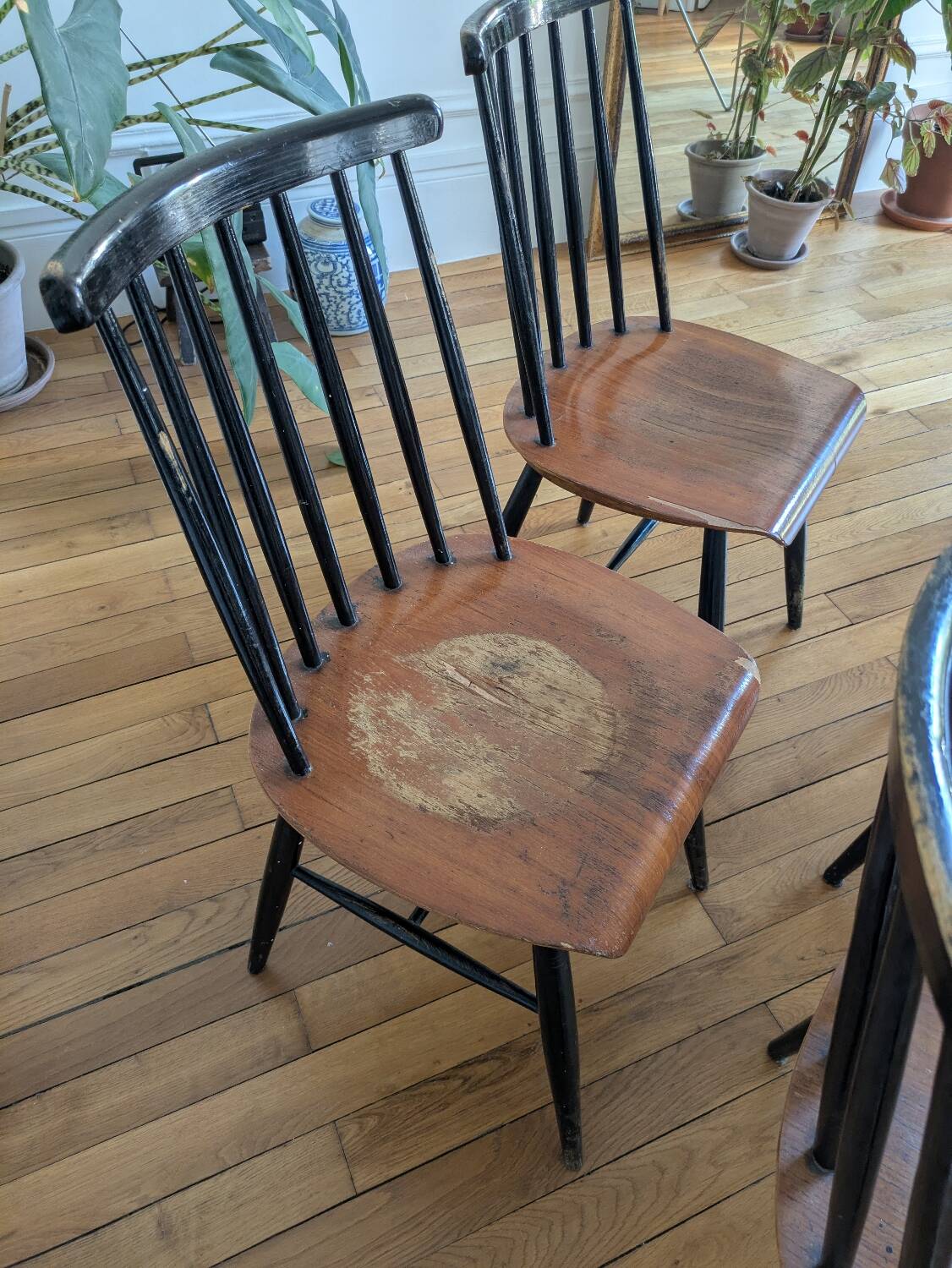 4 Fanette chairs by Ilmari Tapiovaara