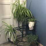 Old florist shelf door metal plants