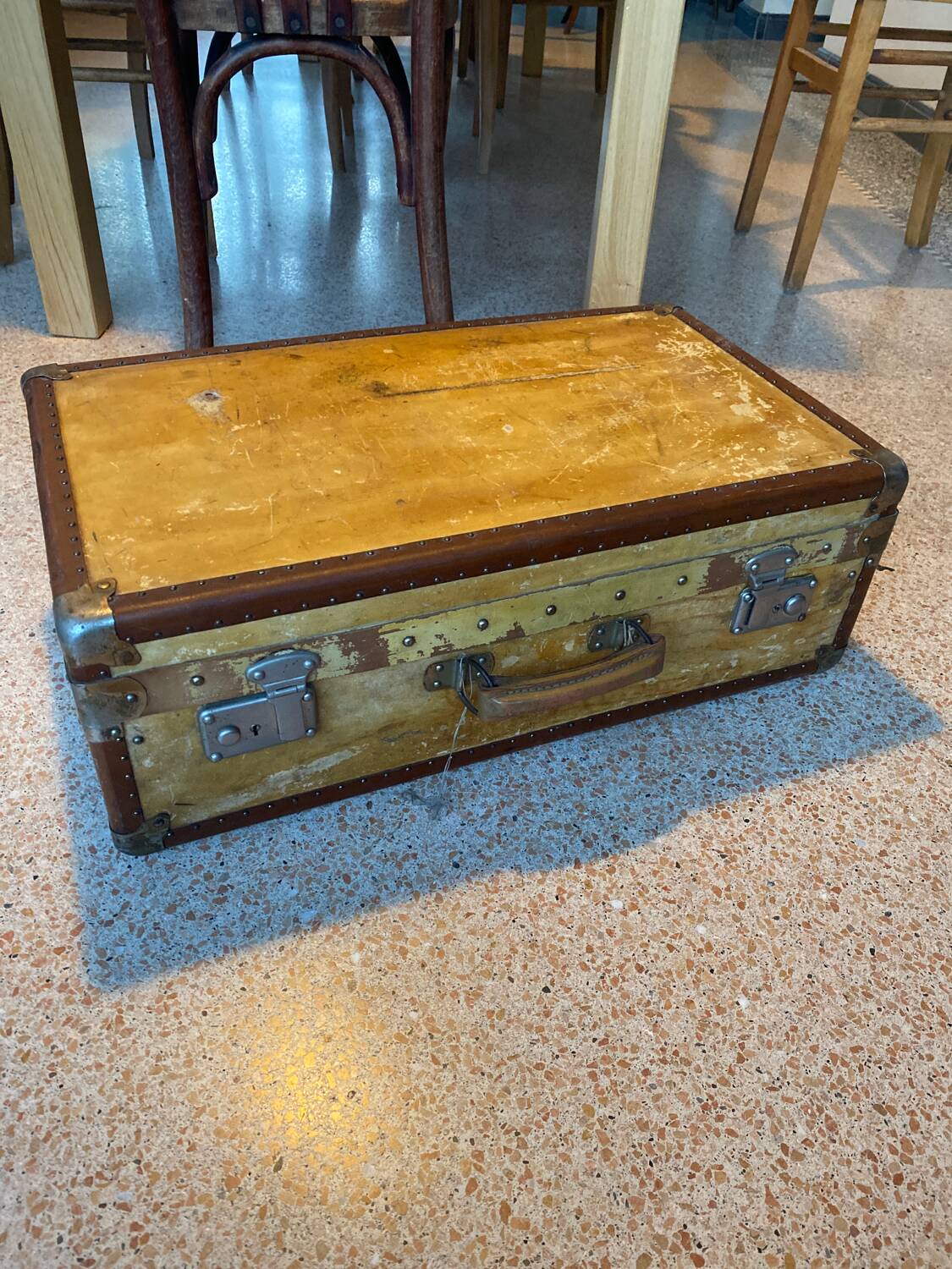 Luxury velun suitcase 1920