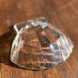 7 vintage shell-shaped bowls in Pyrex glass from France