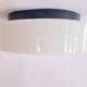 Large Midcentury Flush Mount Milk Glass, RZB Leuchten, Germany, 1970s