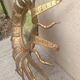 Wall mirror Sun in gilded wrought iron Spain 1950 Hollywood Regency Brutalist