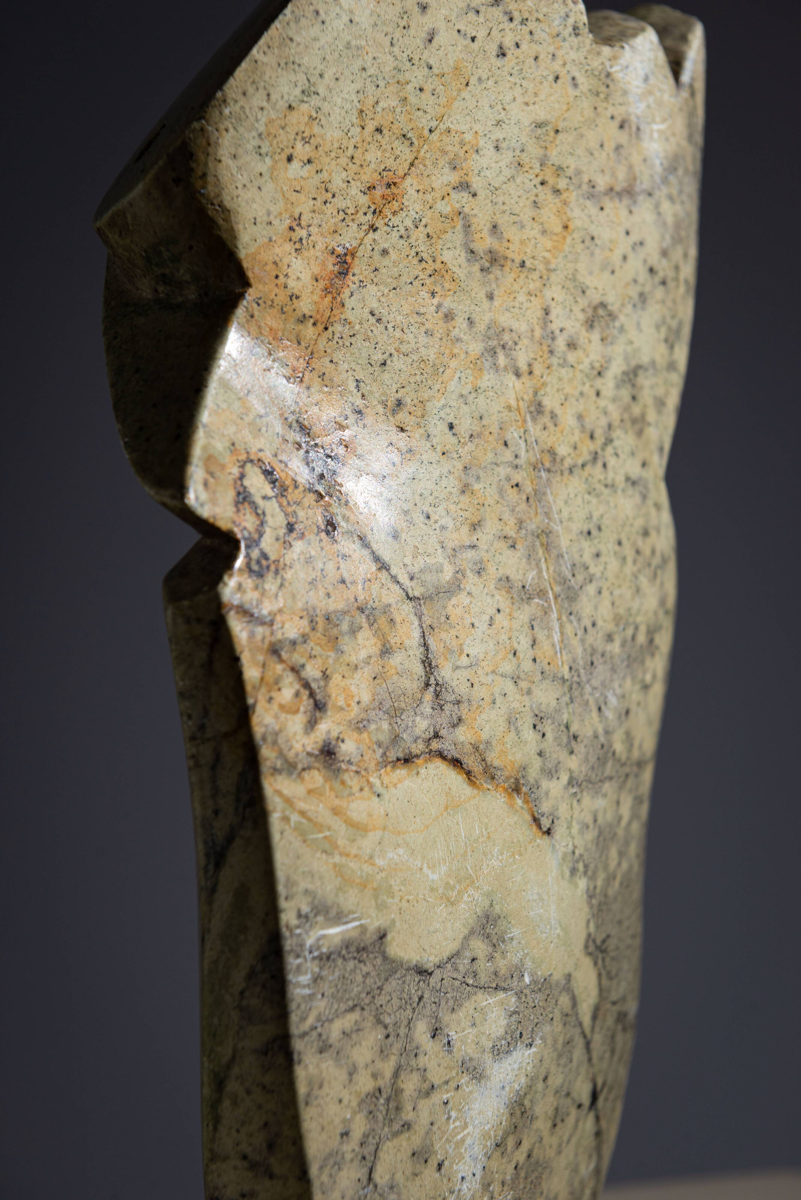 Abstract soapstone bird sculpture