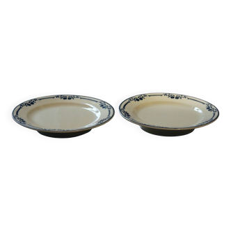Pair of low compotiers Terre de Fer earthenware Salins AB model Saussure