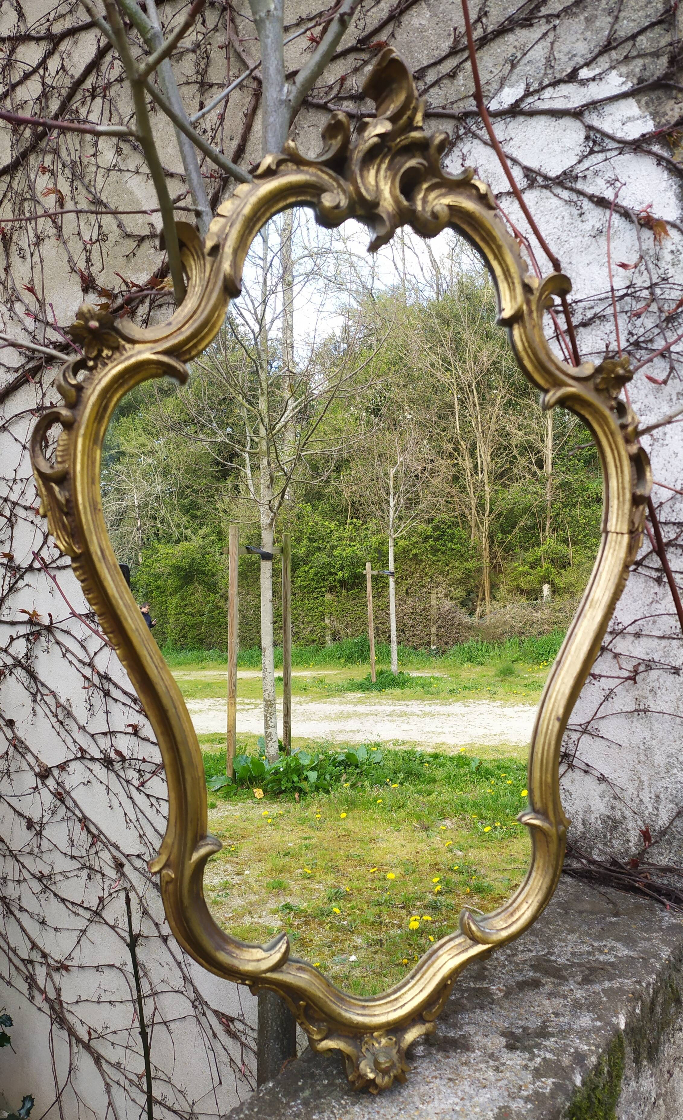 Baroque mirror in gilded wood 87x54cm