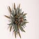 Plafond ou applique vintage années 60 design floral italien